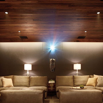 Magnolia Home Theater Projects