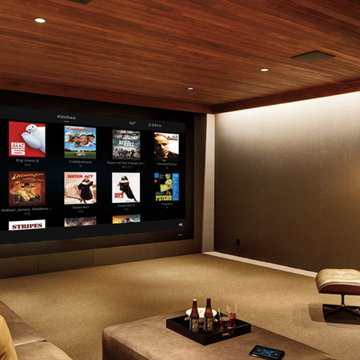 Magnolia Home Theater Projects