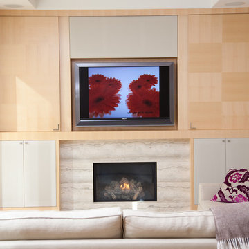 Maple House Wall Unit (Project 710)