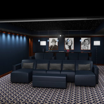 Marina Blue Custom Theatre