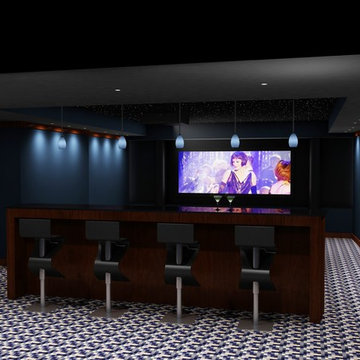 Marina Blue Custom Theatre