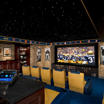 Notre Dame Inspired Home Theater