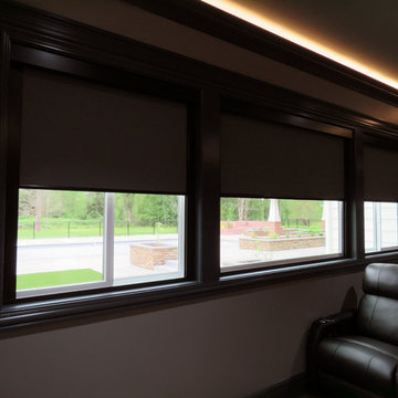 QMotion Automated Blinds