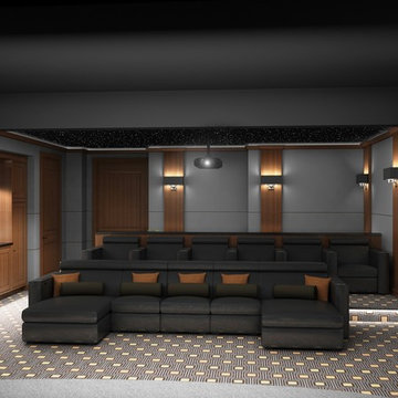 Sleek & Contemporary Custom Theatre
