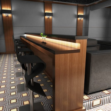 Sleek & Contemporary Custom Theatre