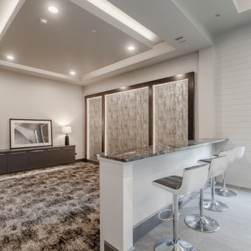 Southlake Modern Hill Country Media Room
