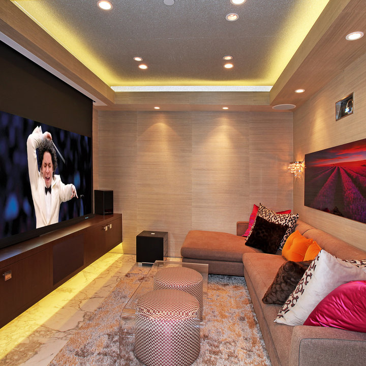 Theater Room Door - Photos & Ideas | Houzz