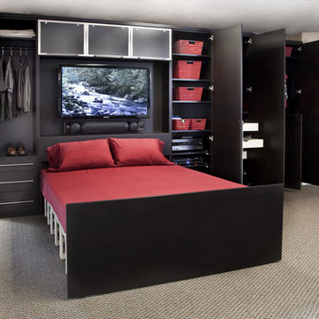 Zoom-Room Wall Bed & Custom Cabinetry