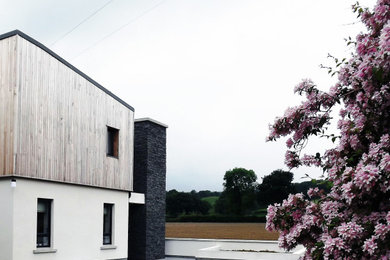 Design ideas for a contemporary house exterior in Belfast.