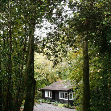 Cabin in the woods in Ireland