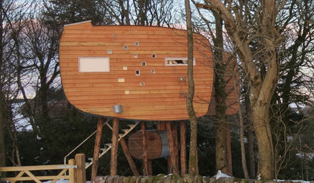 Houzz Tour: An Off-grid Treetop Hideaway for Two in Scotland