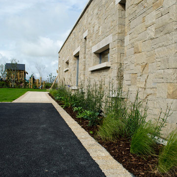 Contemporary Landscape Design - Feature Wall Planting
