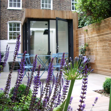 Courtyard garden design in Barnsbury, London