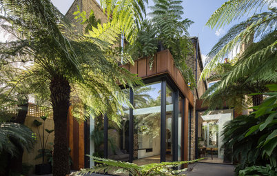 Room Tour: A Light-filled Extension Surrounded by Luscious Ferns