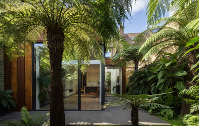 A Light-Filled Addition Surrounded by Ferns