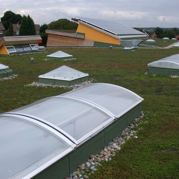 Green Roofs