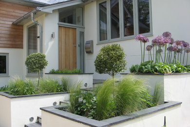 Photo of a contemporary garden in Hampshire.