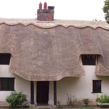 Modern Thatched Roof