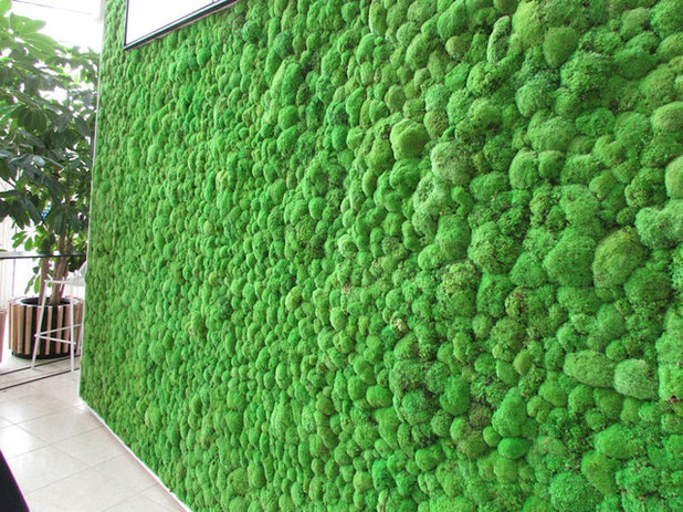 コンテンポラリー 家の外観 by Bright Green - Interior & Exterior Landscapers
