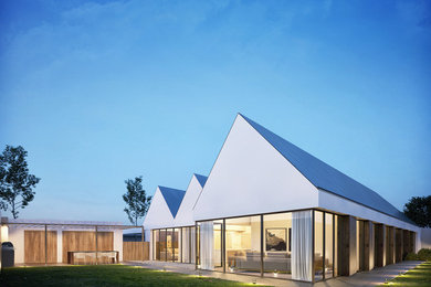 Design ideas for a contemporary house exterior in Dublin.