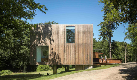 Houzz Tour: A Contemporary Family Home in a Woodland Clearing