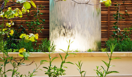 Fabulous Features That Bring Watery Wow to Your Garden