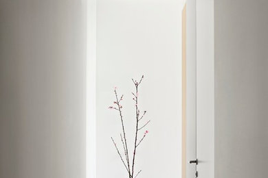 Immagine di un ingresso o corridoio minimalista di medie dimensioni con pareti bianche