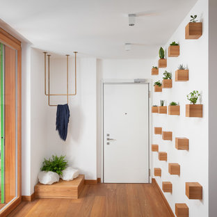 Idee per una porta d'ingresso design con pareti bianche, pavimento in legno massello medio, una porta singola e una porta bianca