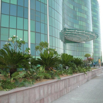 Roof Garden, Grand Hilton Abu Dhabi
