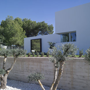 Imagen de jardín contemporáneo en patio delantero
