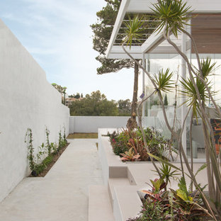 CASA NE