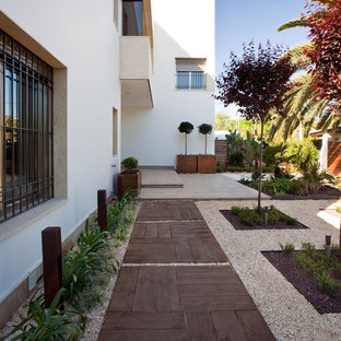 Foto de camino de jardín de secano, actual, en patio lateral, con exposición parcial al sol