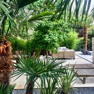 El jardin de las palmeras