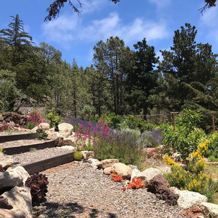 Modelo de camino de jardín francés, contemporáneo, en patio trasero, con mantillo