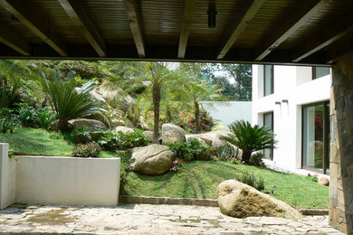 Bild på en stor funkis trädgård