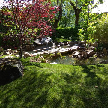 Jardin japones con estanque