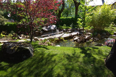 Ejemplo de jardín de estilo zen grande con estanque y exposición parcial al sol