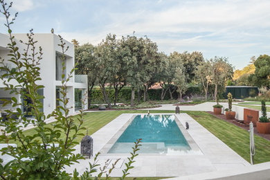 マドリードにあるコンテンポラリースタイルのおしゃれな庭の写真