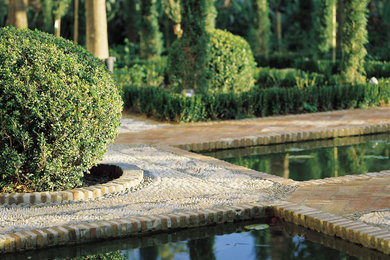 Inspiration for a world-inspired garden in Malaga.