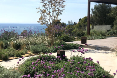 Ejemplo de jardín de secano mediterráneo de tamaño medio en patio trasero con fuente, exposición total al sol y adoquines de hormigón