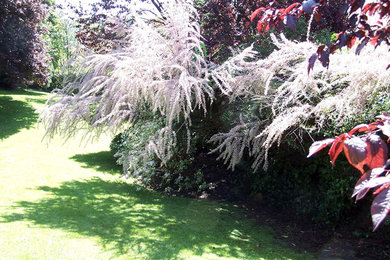 Traditional garden in Other.