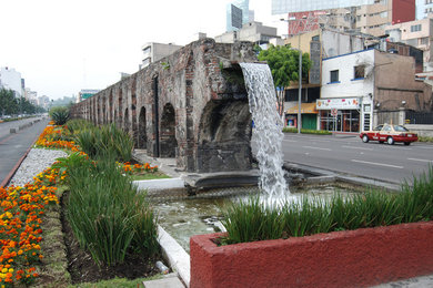 Expansive bohemian garden in Mexico City.