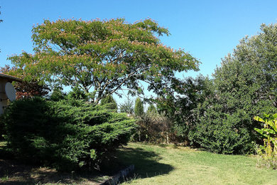 Exemple d'un jardin nature.