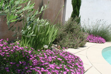 Cette photo montre un petit jardin arrière méditerranéen l'été avec une exposition ensoleillée et une terrasse en bois.