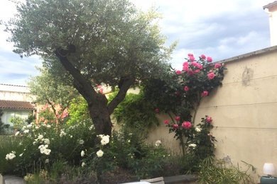 Modelo de jardín mediterráneo pequeño en patio trasero