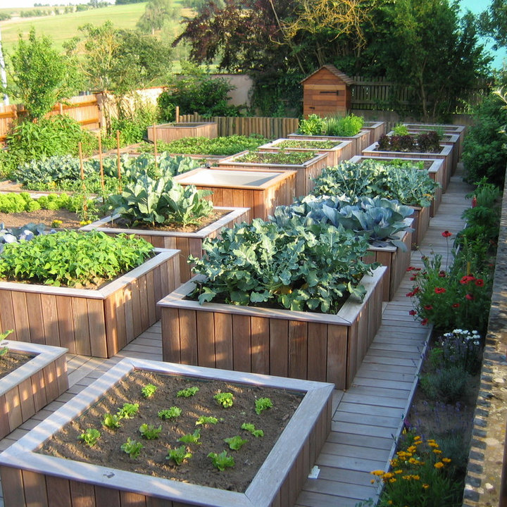 75 Moderne Gemüsegärten Ideen & Bilder Mai 2024 Houzz DE