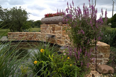 Cette photo montre un jardin arrière nature de taille moyenne avec un bassin et une exposition ensoleillée.