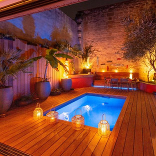 Ispirazione per un piccolo giardino tropicale dietro casa con un giardino in vaso e pedane