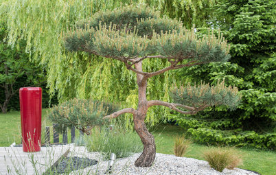 Visite Privée : Un jardin zen aux influences japonaises