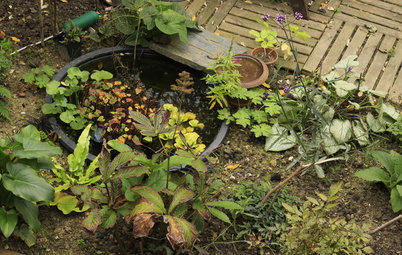 DIY : Aménagez un bassin extérieur à moindre coût